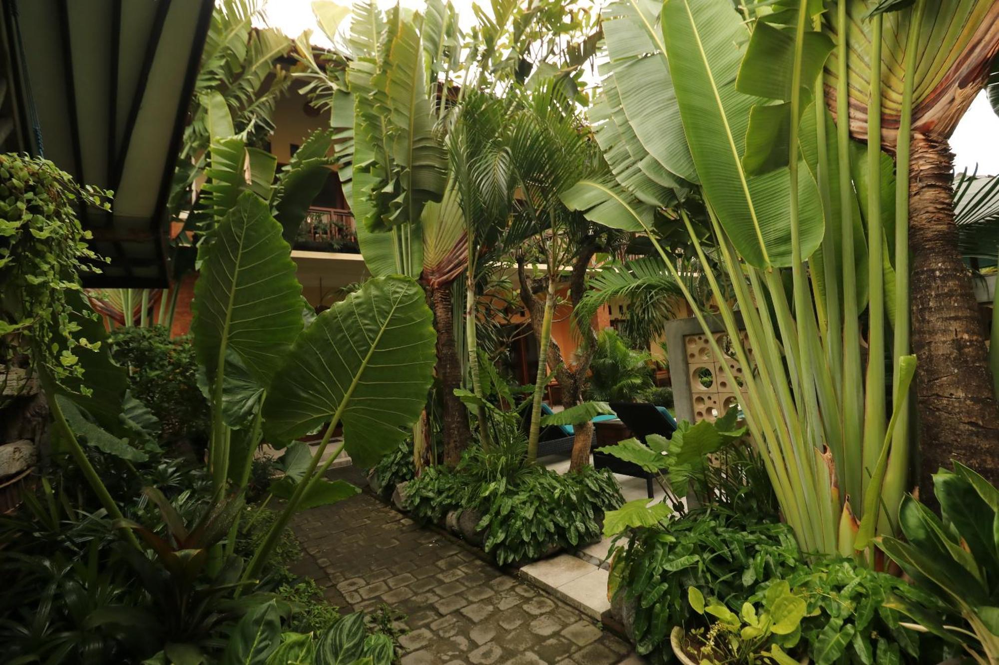 Mina Pelasa Hotel Legian  Exterior photo
